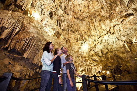Ngilgi Cave - Attractions 1