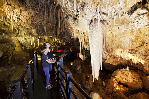 Ngilgi Cave - Attractions 2