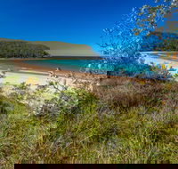 North Durras Beach - Attractions