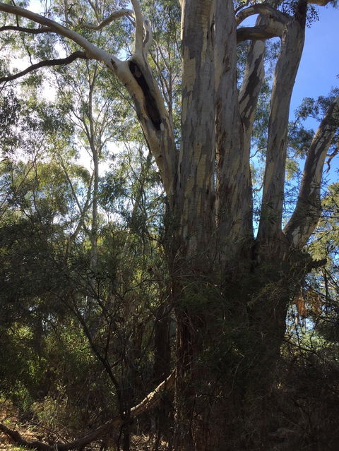 Northern Beaches - Attractions 0
