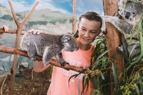 Oakvale Wildlife Park - Attractions 0