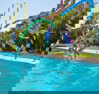 Oaklands War Memorial Swimming Pool - Attractions