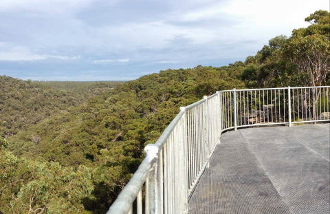 O'Hares Creek Lookout - Attractions 0