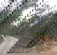 Paddys Ranges State Park - Attractions
