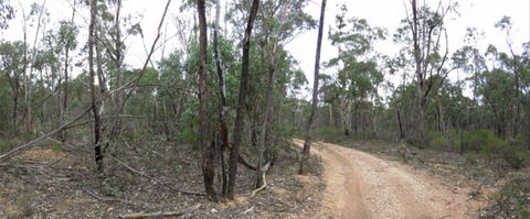 Paddys Ranges State Park - Attractions 0