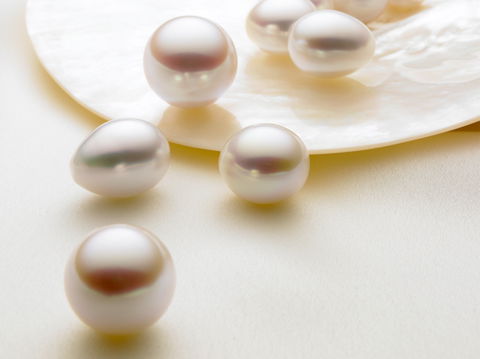 Paspaley Pearls - Attractions 0