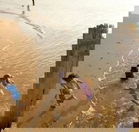 Phillip Island - Attractions