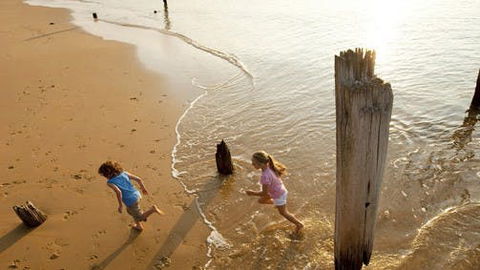 Phillip Island - Attractions 0