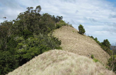 Pieries Peak Walking Track - Attractions 0