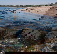 Point Cook Marine Sanctuary - Attractions