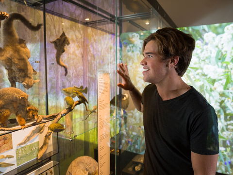 Queensland Museum - Attractions 0