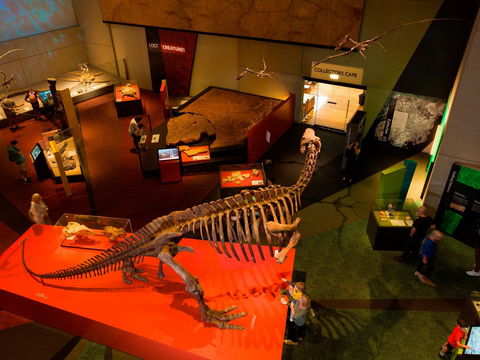 Queensland Museum - Attractions 2