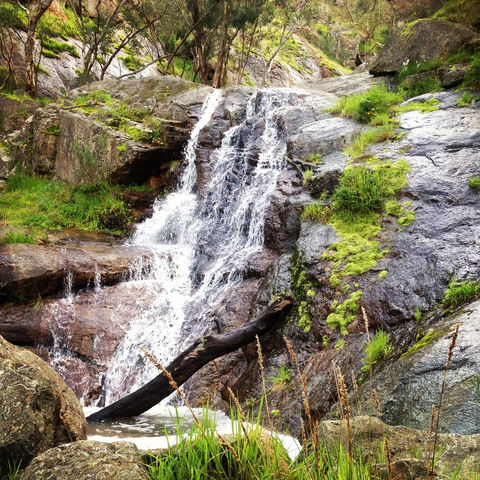 Salisbury Falls Walk - Attractions 1