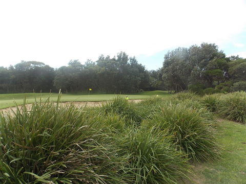 Shoalhaven Heads Golf Club - See Attractions 0