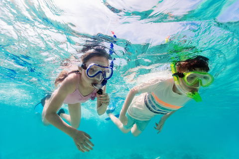 Snorkel Hat Head Creek - Attractions 0
