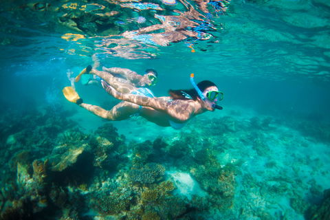 Snorkel The Ningaloo Reef - Attractions 1