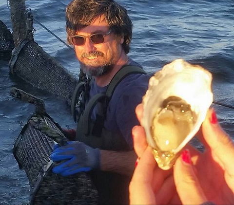 Southern Yorke Oysters - Attractions 0