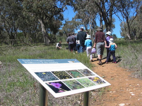 South Gundagai Woodlands Walk - Attractions 0