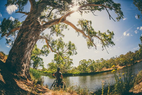 Sturt Gorge Recreation Park - Attractions 0