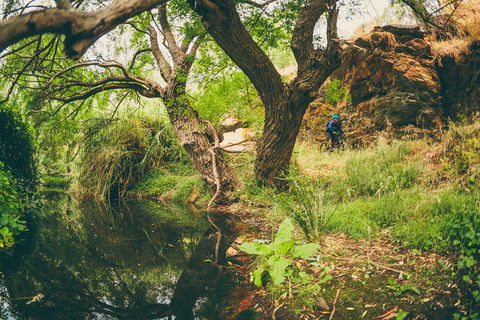 Sturt Gorge Recreation Park - Attractions 1