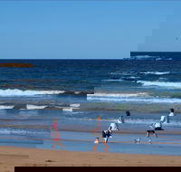 Surf Beach Batemans Bay - Attractions