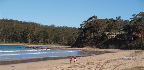 Surf Beach Batemans Bay - Attractions 1
