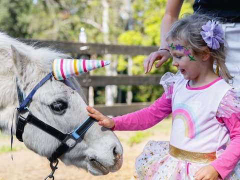 The Outlook Riding Academy - Attractions 1