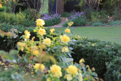 The Bath House Garden - Attractions 1