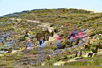 The Sole Walk at Hillocks Drive