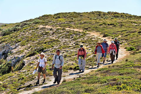 The Sole Walk At Hillocks Drive - Attractions 0