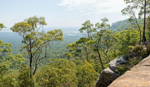 The Narrow Place Lookout - See Attractions 0