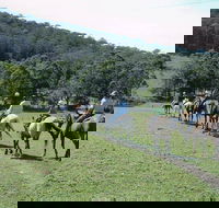 Timbertops - Horse Riding - Attractions