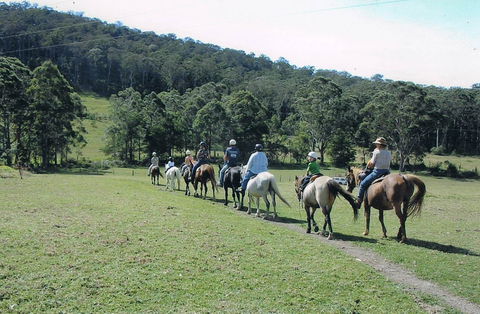 Timbertops - Horse Riding - Attractions 0