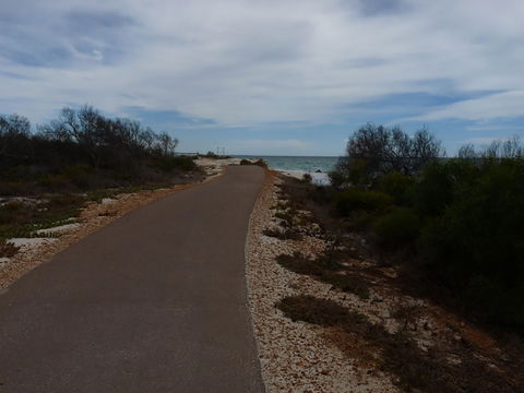 Turquoise Way Trail, Jurien Bay - Attractions 0