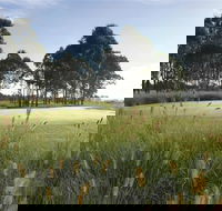 Twin Creeks Golf and Country Club - Attractions