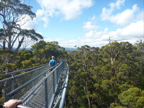 Walpole-Nornalup National Park - Attractions 0