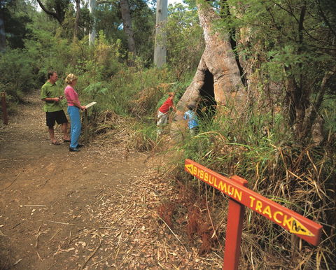 Walpole-Nornalup National Park - Attractions 1