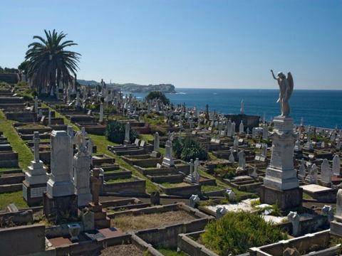 Waverley Cemetery - Attractions 0