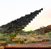Whyalla Conservation Park - Attractions
