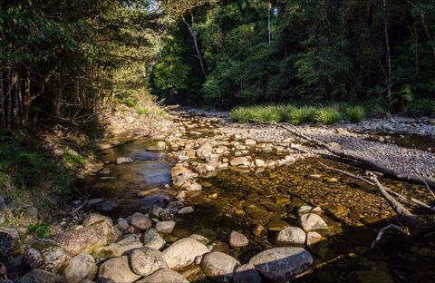 Wilson River Picnic Area - Attractions 0