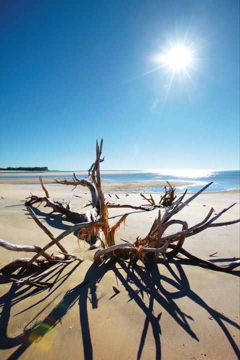 Woodgate Beach Park And Playground - Attractions 1
