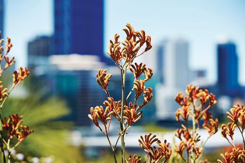 A Day In Perth - Attractions 1