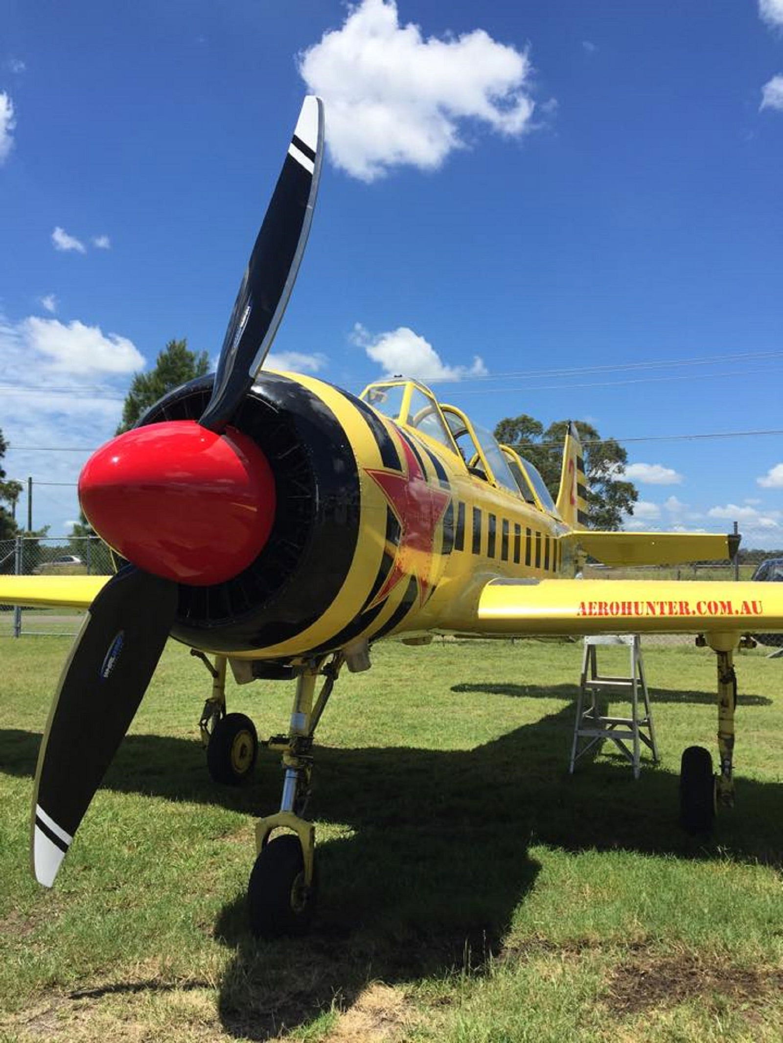 Mindaribba NSW Attractions