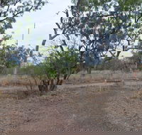 Alexander Forest Memorial - Attractions