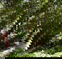 Alfred National Park - Attractions