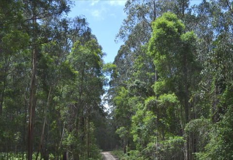 Alfred National Park - Attractions 1
