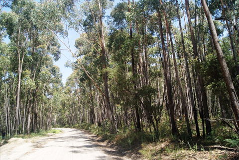 Alfred National Park - Attractions 2