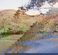 Alligator / Crocodile Hole - Attractions Las Vegas