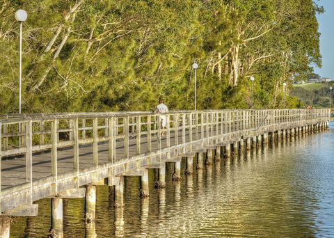 Apex Park Picnic Area Narooma - Attractions 1
