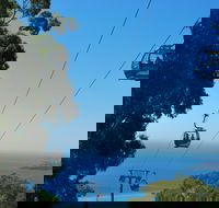 Arthurs Seat Eagle - Attractions